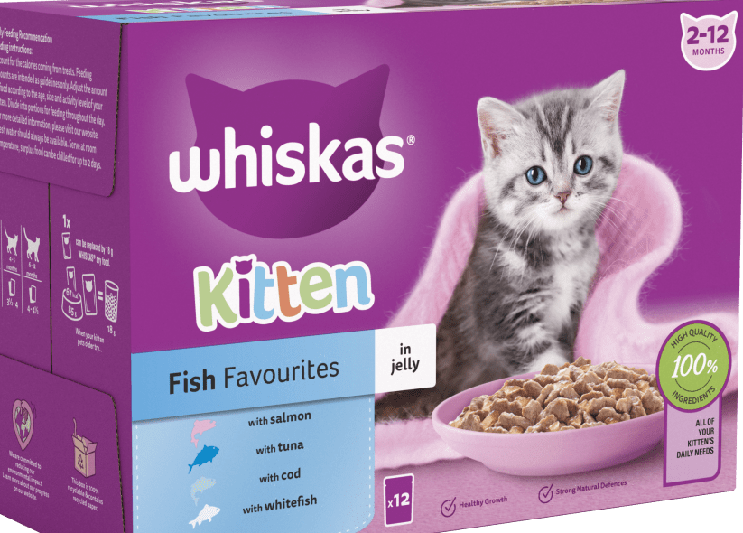 Whiskas Kitten Jelly Food 85g – Seafood Flavor