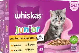 Whiskas Kitten Jelly Food 85g (Box)
