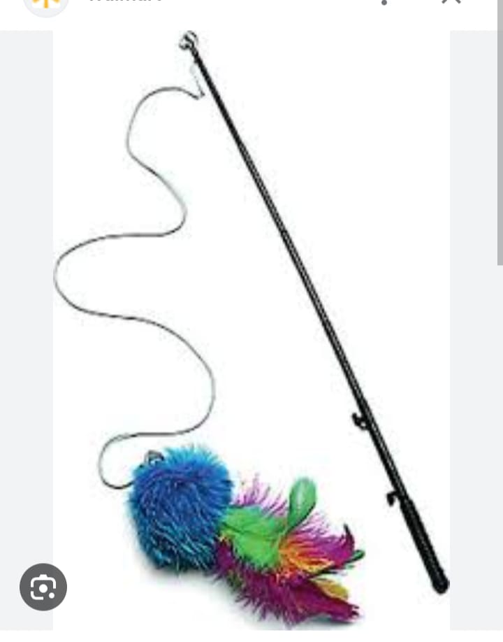 Cat Stick Toy
