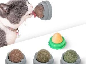 Catnip Toy Ball