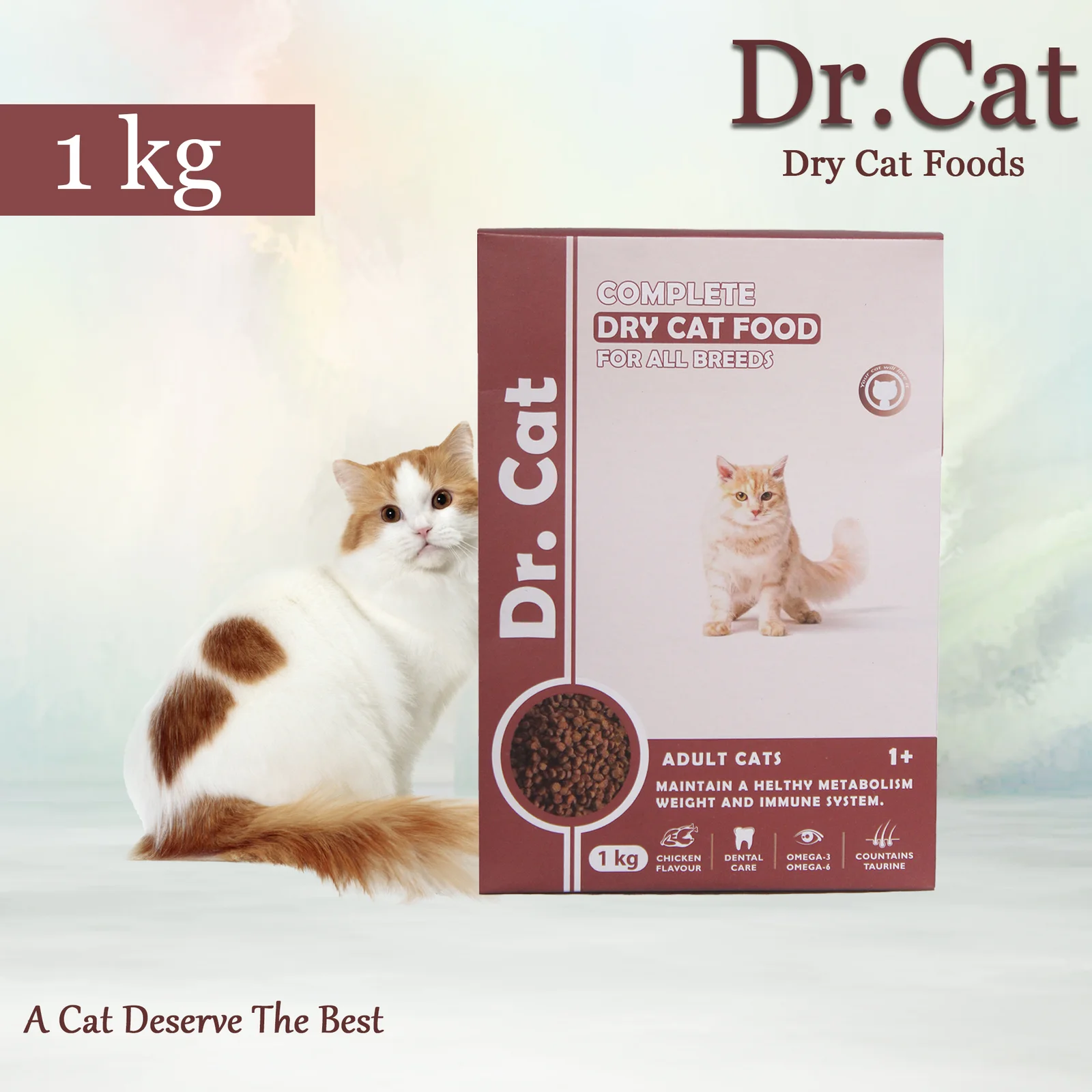 Dr. Cat Food – Chicken Flavor 1kg