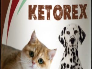 Alpha Ketorex Medicated Shampoo 120ml for Cats and Dogs