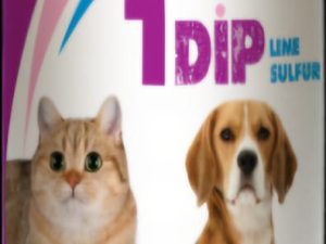 One Dip Lime Sulfur Medicated Dip for Cats & Dogs