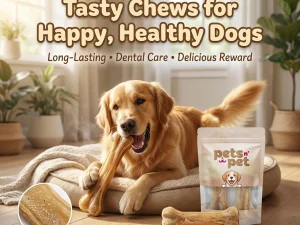 Pack of 2 Dog Treats & Chews Calcium Bones