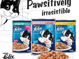 FELIX Kitten Jelly Wet Cat Food 85g Pouch – Tasty Meal
