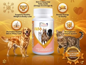 Alpha Fat+ for Pets – Nutritional Support for Healthy Weight Gain